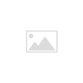 WordPress Default Store